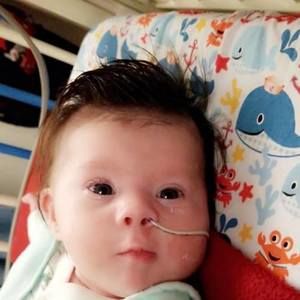 Meet your Posher, Judith